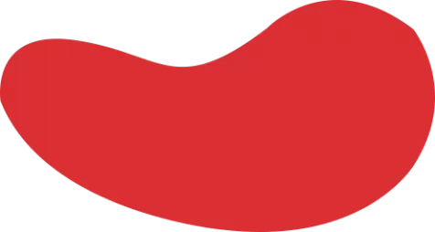 完美·(中国)体育官方网站-365WM SPORTS